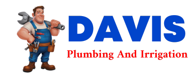 Trusted plumber in WINDER